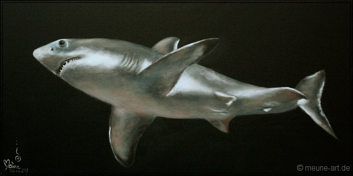 Weisser Hai Acryl auf Leinwand;
100 x 50 cm